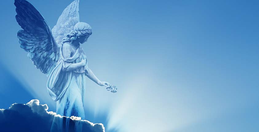 Basics About Angel Investors