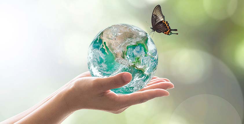Embracing Sustainability in Your Business