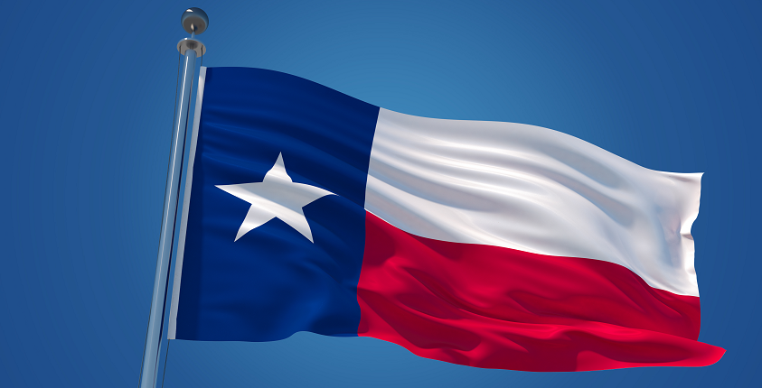 TX Flag